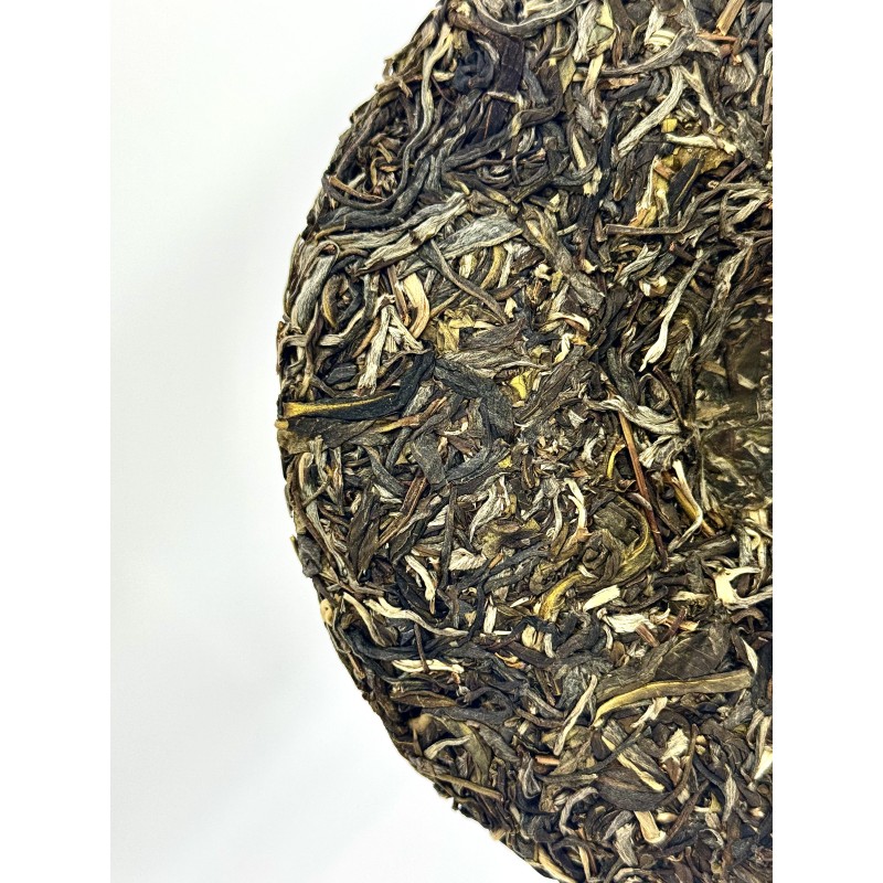 Бінг-ча "Шен Пуер з гори Наннуо"