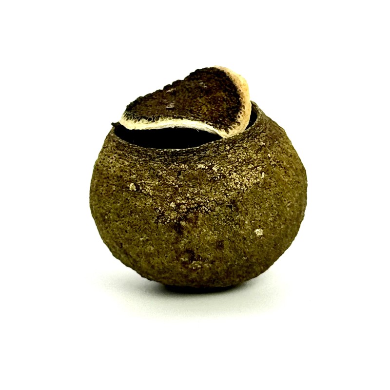 Пуер в мандарині "Зелена марка"