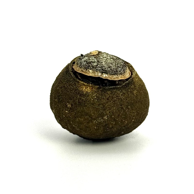 Пуер в мандарині Синя марка