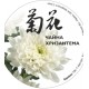 Хризантема, банка 35 г