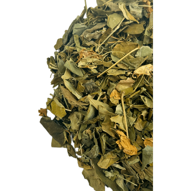 Морінга (листя)